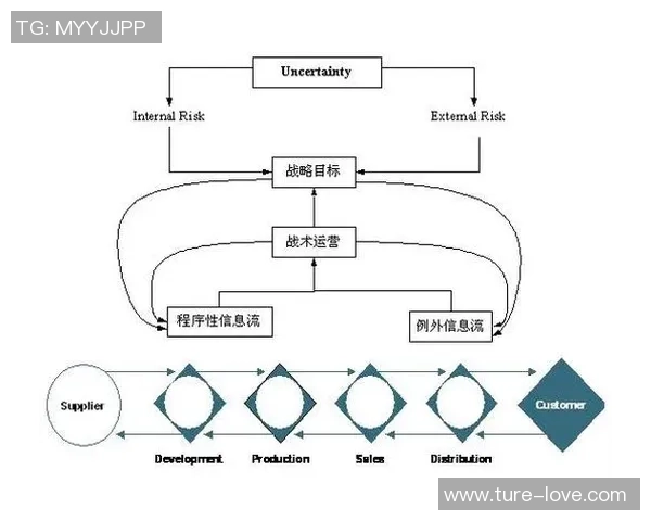 深圳排球队的战术创新与运营体系探讨