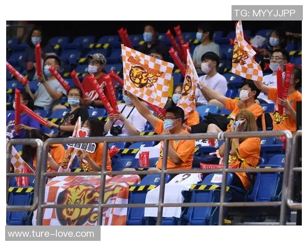 聚焦篮球:深圳篮球队的意识话题